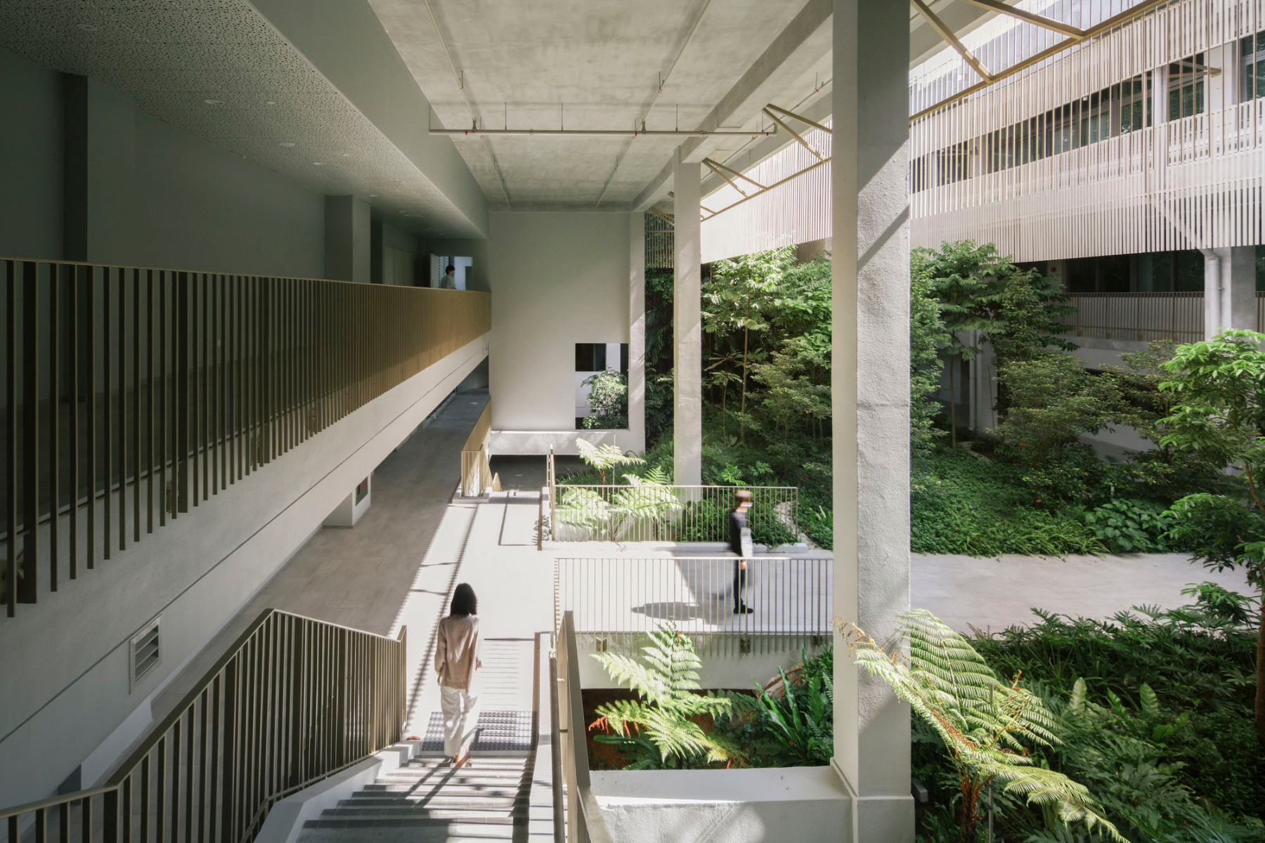 新加坡建筑学院翻新项目丨新加坡国立大学设计与环境学院,CPG Consultants-45