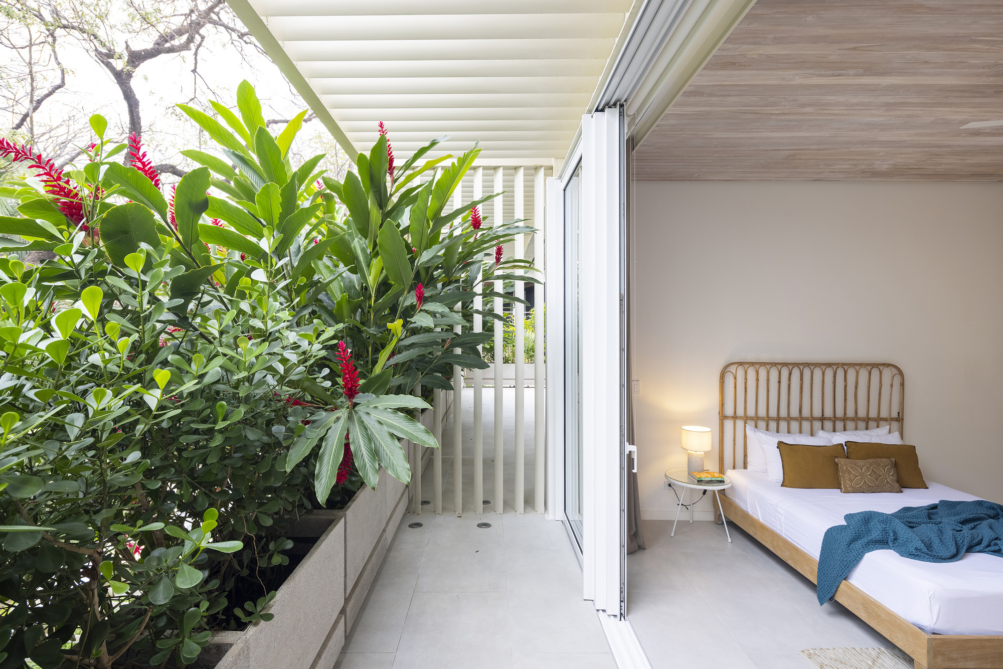 糖屋丨哥斯达黎加丨Studio Saxe-31