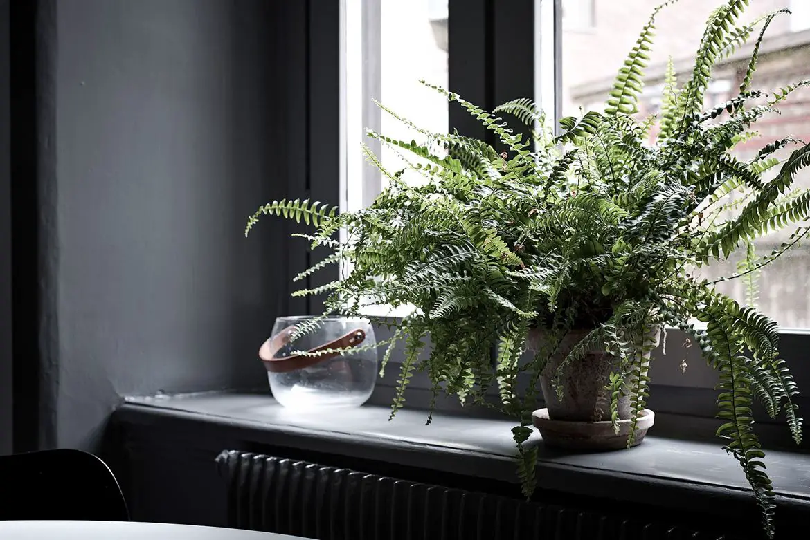 85 平米公寓大胆尝试 | 原始墙壁的魅力-11