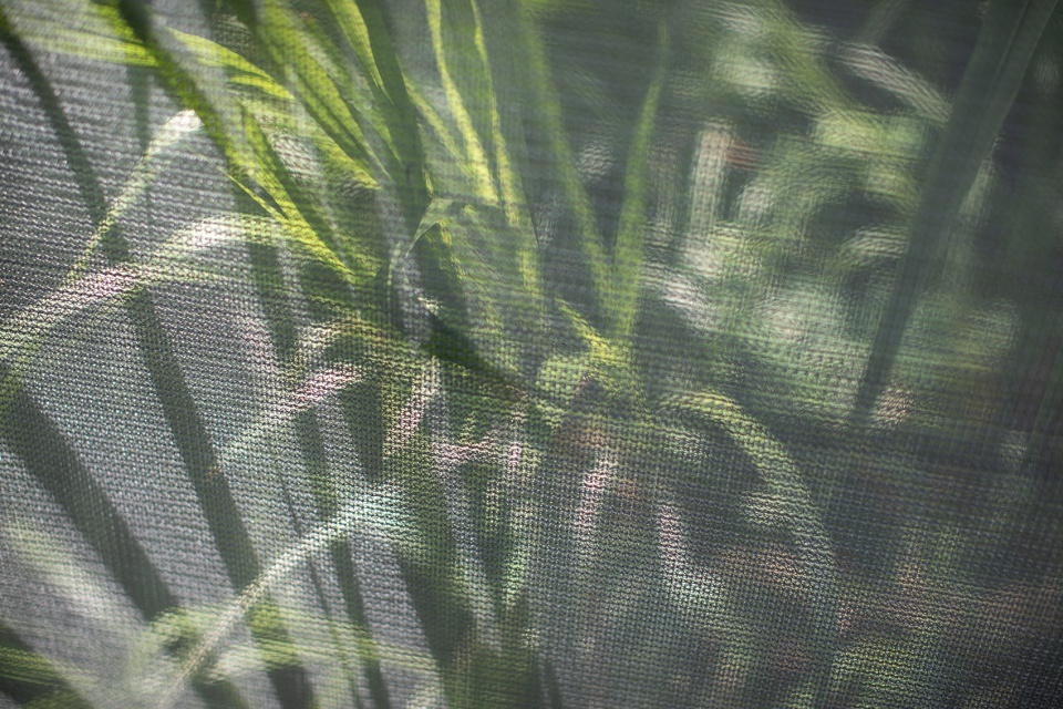 苗栗香格里拉乐园的生态奇观·勤美学森大-56