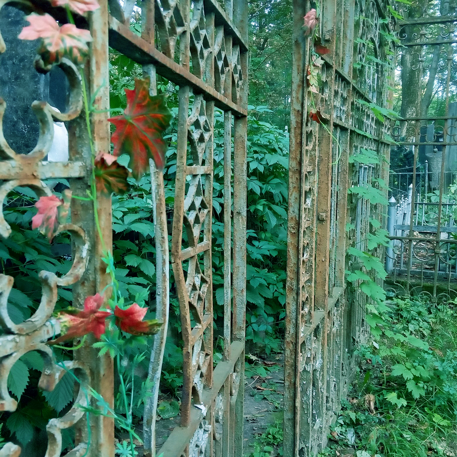 My trip to the land of death-9