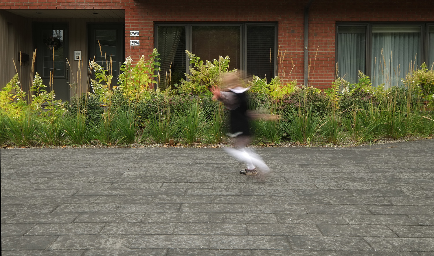 Toiture végétalisée Rivoli | rose architecture-9