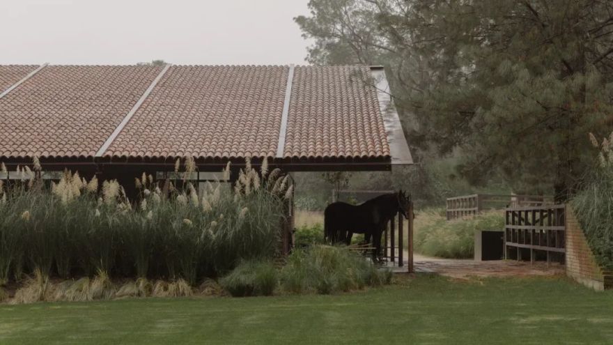 马术圣拉蒙丨墨西哥丨Módica Ledezma-19