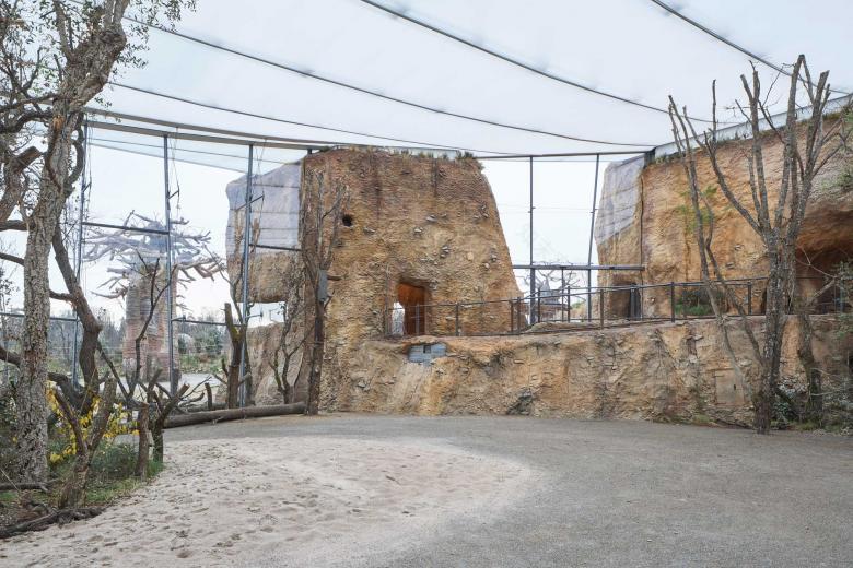 L3P Architekten ETH FH SIA AG丨Giraffenhaus Lewa Savanne im Zoo Zürich丨瑞士-2
