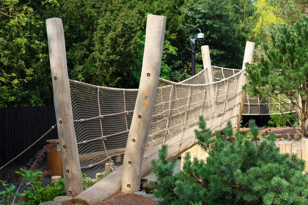 英国皇家植物园儿童花园丨Suzie Jewell-52