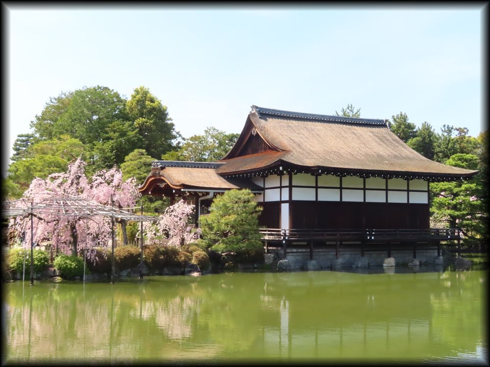 平安神宮の桜相关景观丨日本京都-27