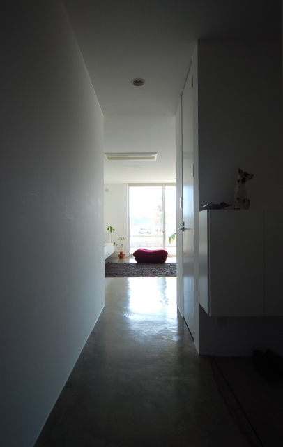 dagobah #072 COGITE(住宅+カフェ)丨日本丨有限会社COGITE-36