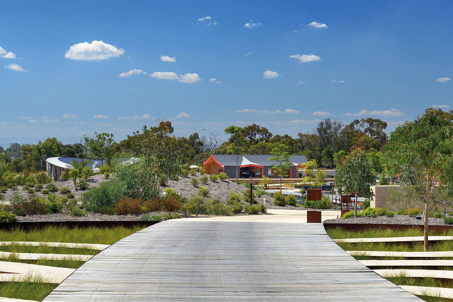 澳大利亚克莱本皇家植物园景观-5
