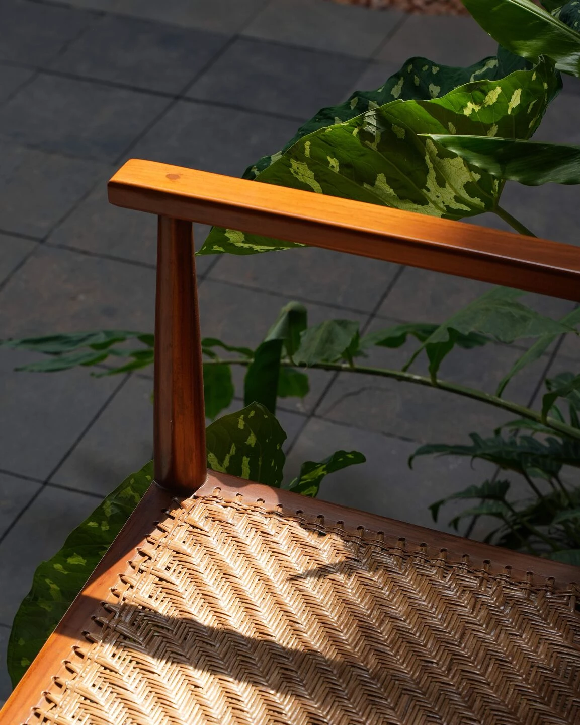 草地丨印度丨VSP Architects-36