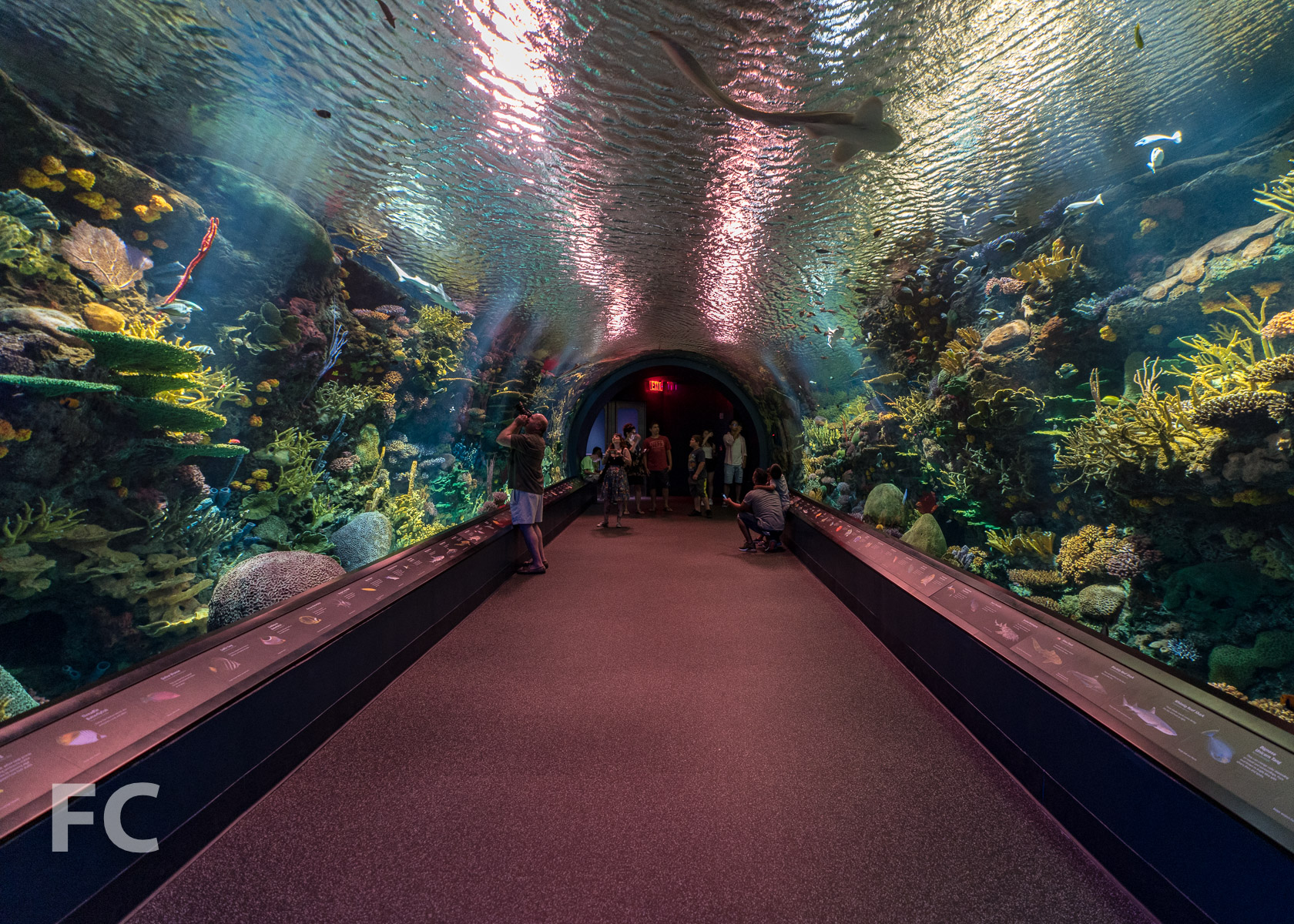 Tour: New York Aquarium — FIELD CONDITION-6