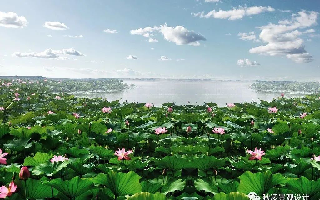 园林文化——寓意解析 | 四君子、花王与雪中四友-236