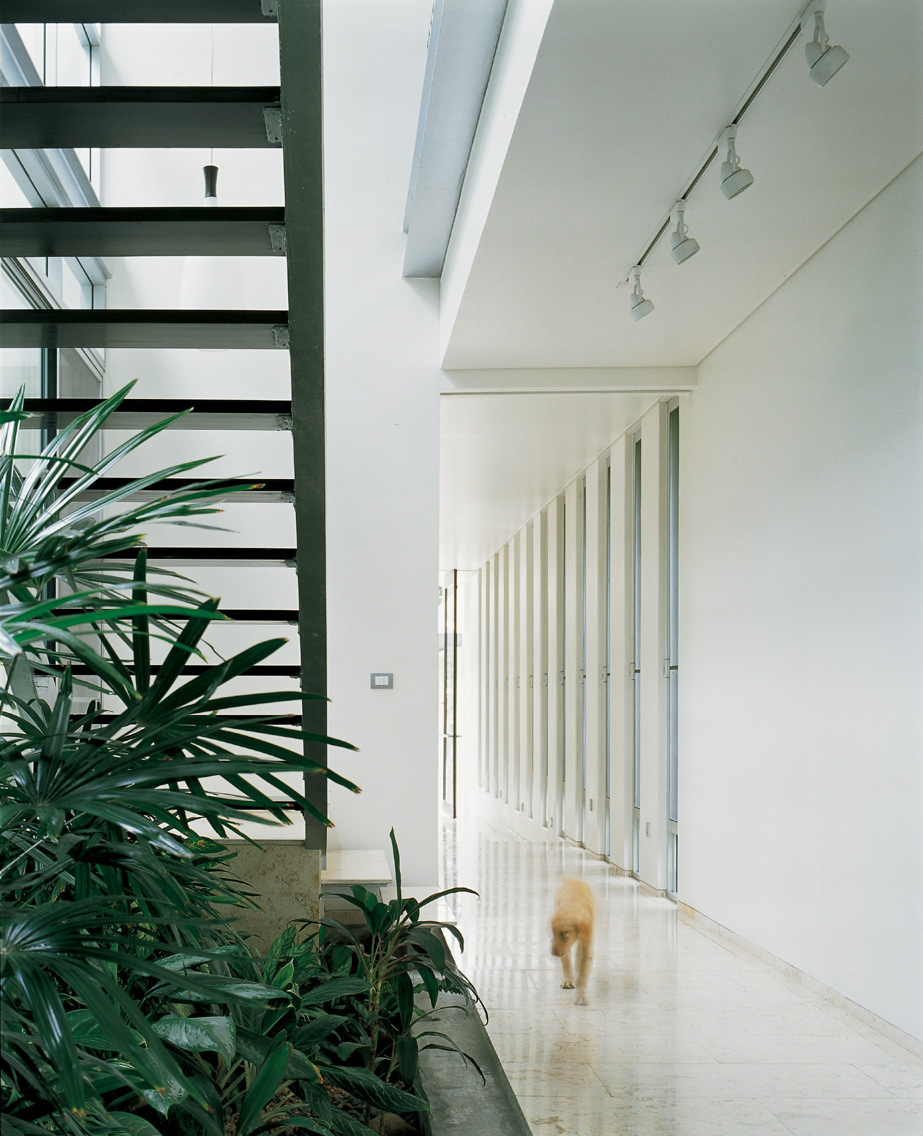 热带风格住宅设计，实现私密性与景观的完美融合-9