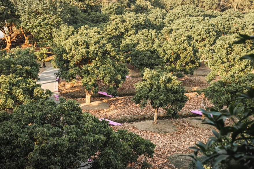 川行,CROSSING MEMORY丨中国广州丨北京林业大学 + LAIBA STUDIO-73