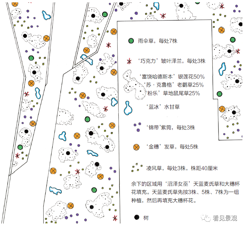 荒野之美·自然主义种植设计-87