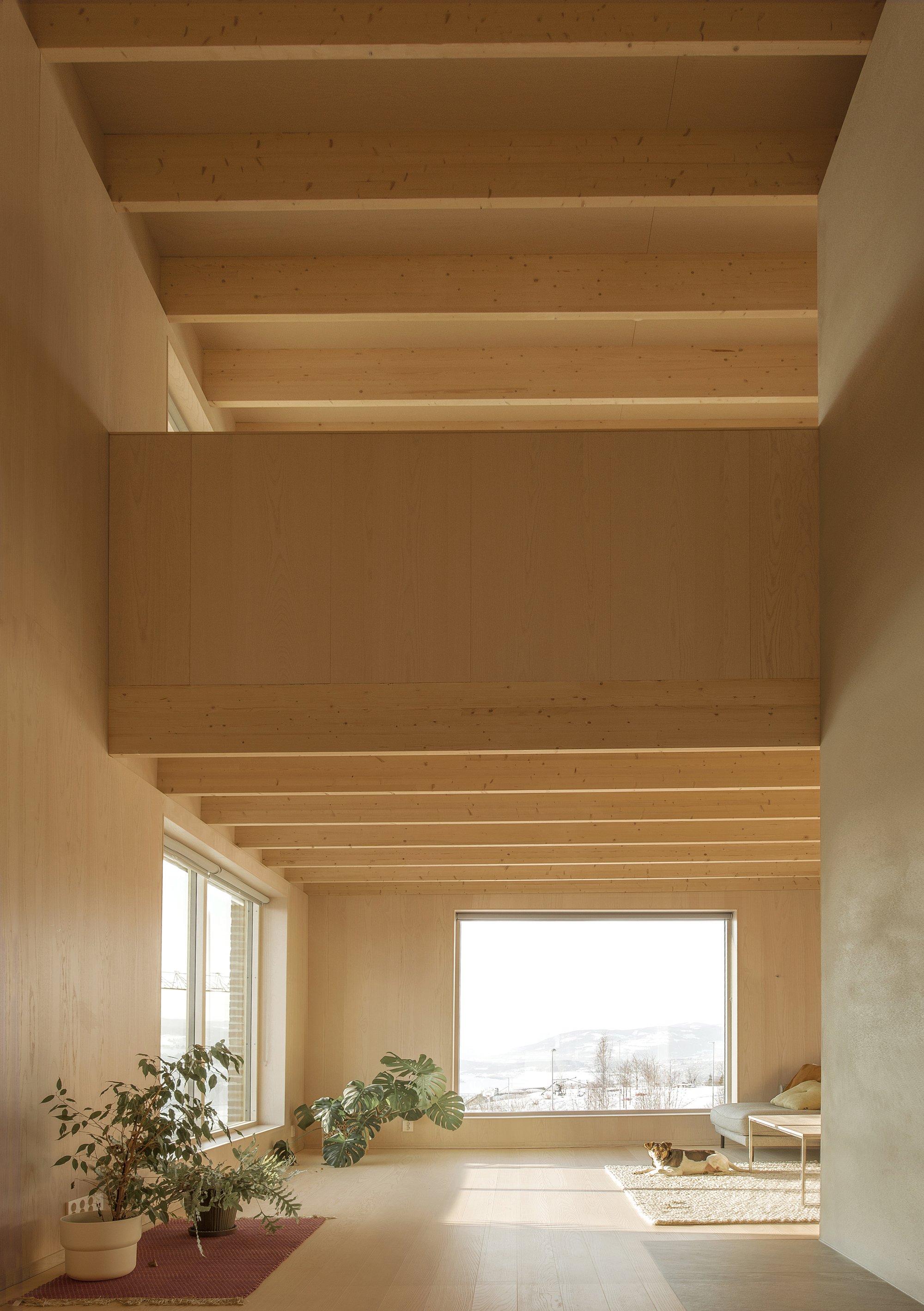 带塔的砖房丨挪威丨Sanden+Hodnekvam Architects-12