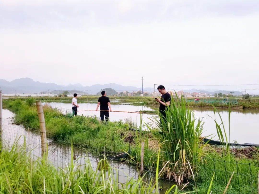 品东装饰户外团建活动 | 快乐工作，健康生活-9