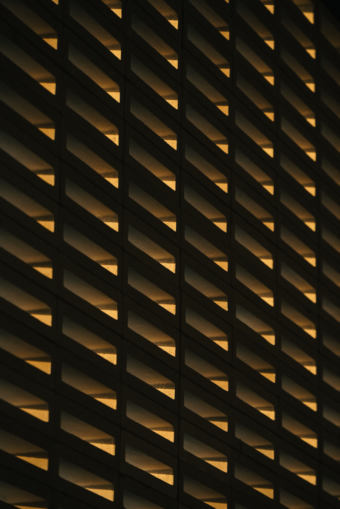 山岚褶皱处的寂静生长|阿那亚三亚景观秘境诗学-251