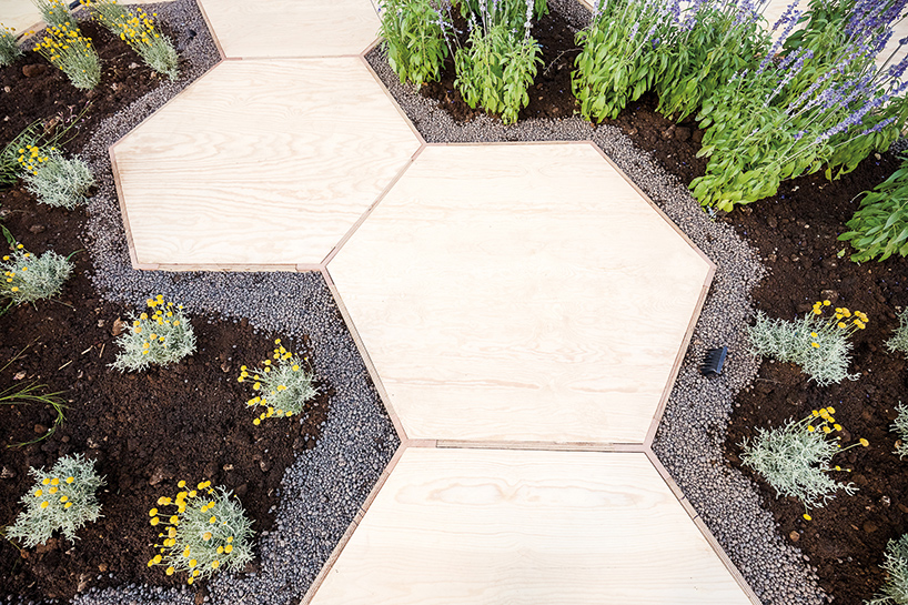 Zighizaghi 广场改造为特色城市花园丨意大利-12