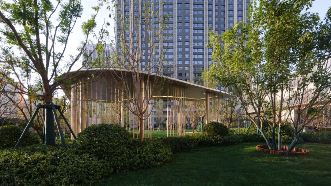 林上星空指引归家思绪 | 太原地铁万科星空（大区）-34