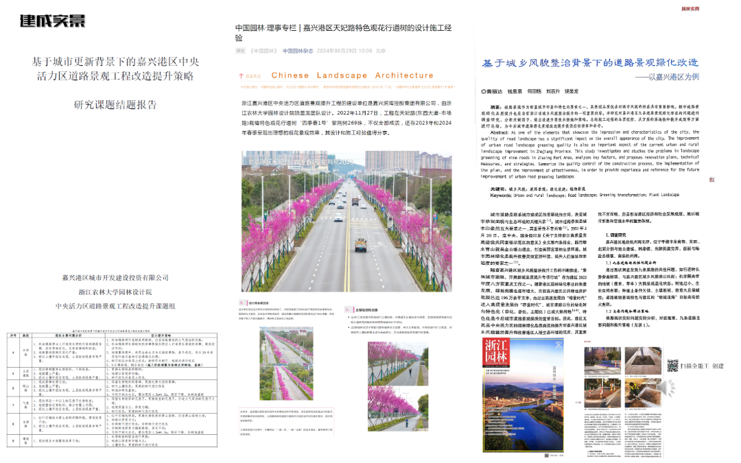 2024年度院优项目|嘉兴港区中央活力区道路景观设计实践——滨海盐碱地生态修复与城市美学融合的典范之作-4