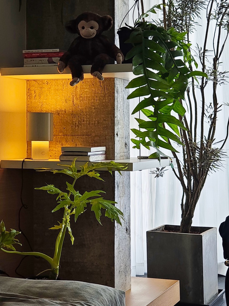 H住宅丨中国昆明丨肖浩祥-17