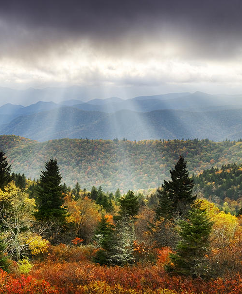 南京礼樾云居售楼处丨中国南京丨柏年印象-1