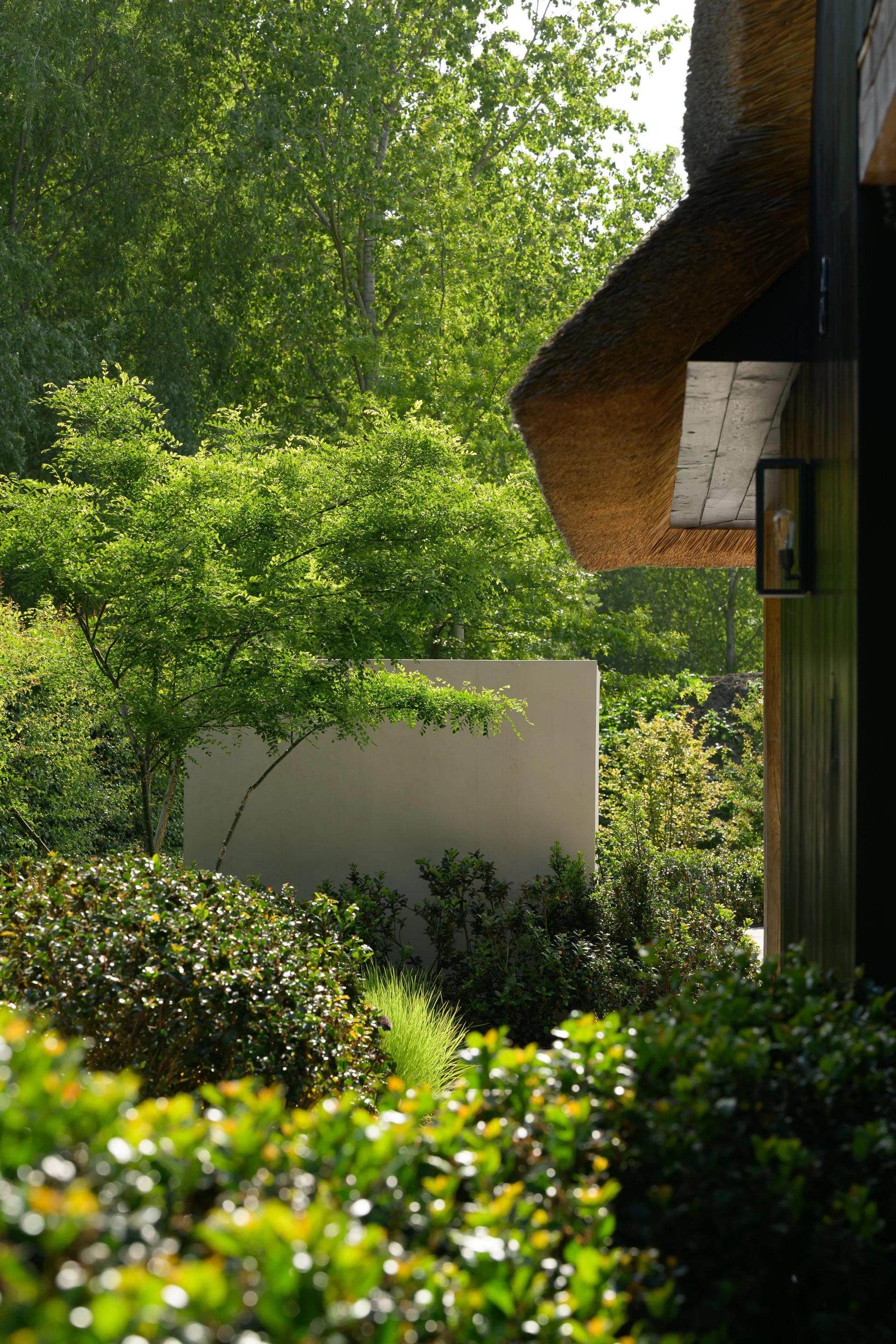 既有住宅带温室,泳池和淋浴墙的扩建项目丨Ai&M bvba-3