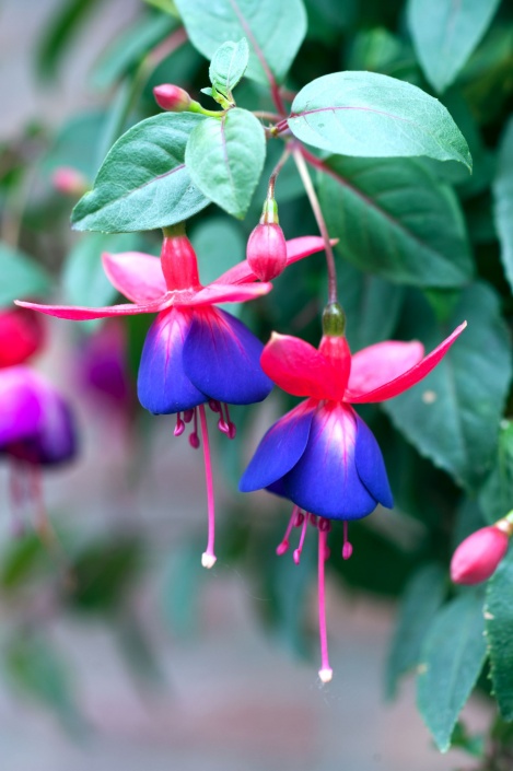 ‘Breekbaar Land’（一战德国军事墓地接待基础设施设计）丨比利时-15