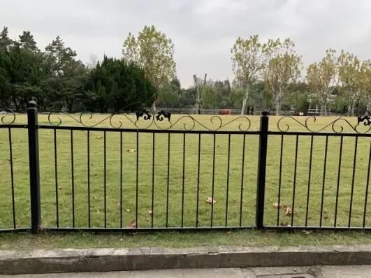 中国园林·理事专栏|“拓”之力量:杨浦公园改造纪实(三)-169