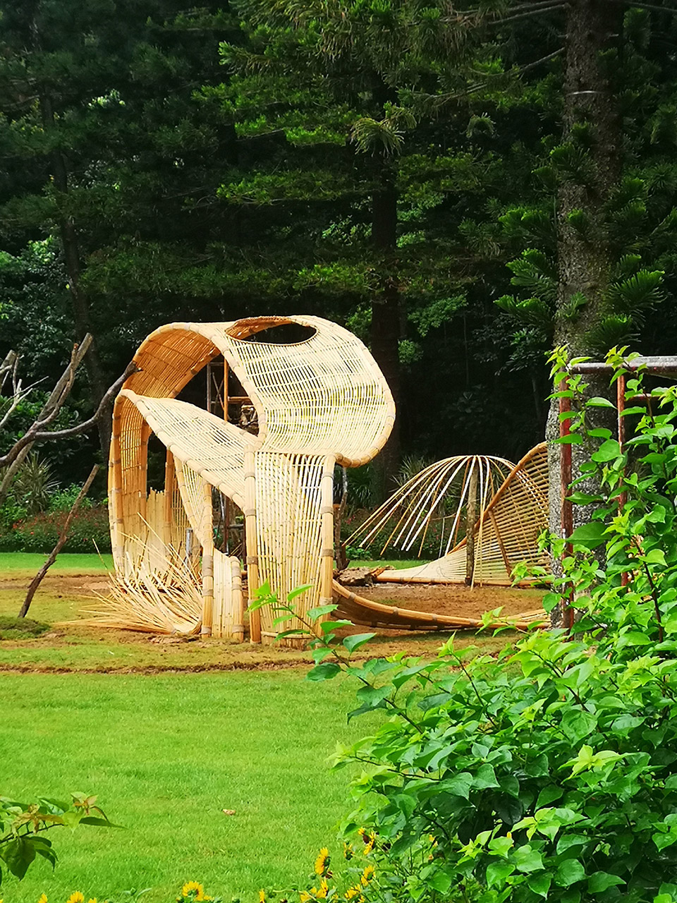 深圳 “种子”现代竹编装置-7