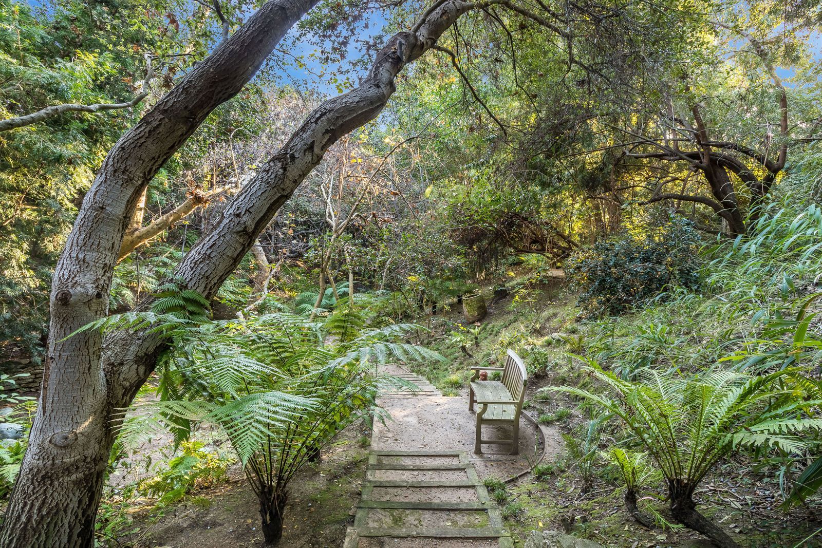 Jim Carrey洛杉矶别墅丨美国洛杉矶-35