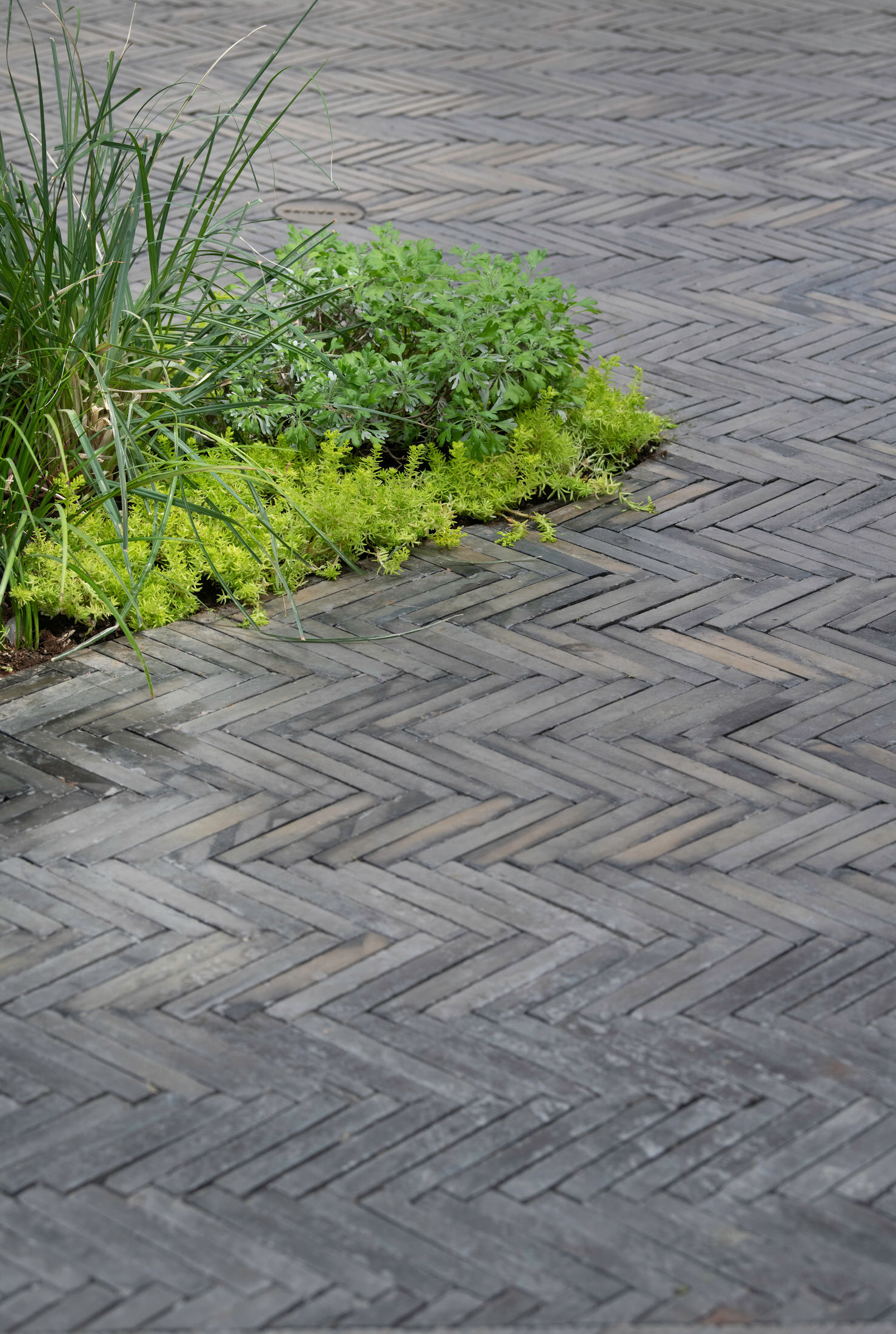 EP Yaying 未来商店丨中国上海丨Franklin Azzi Architecture-23