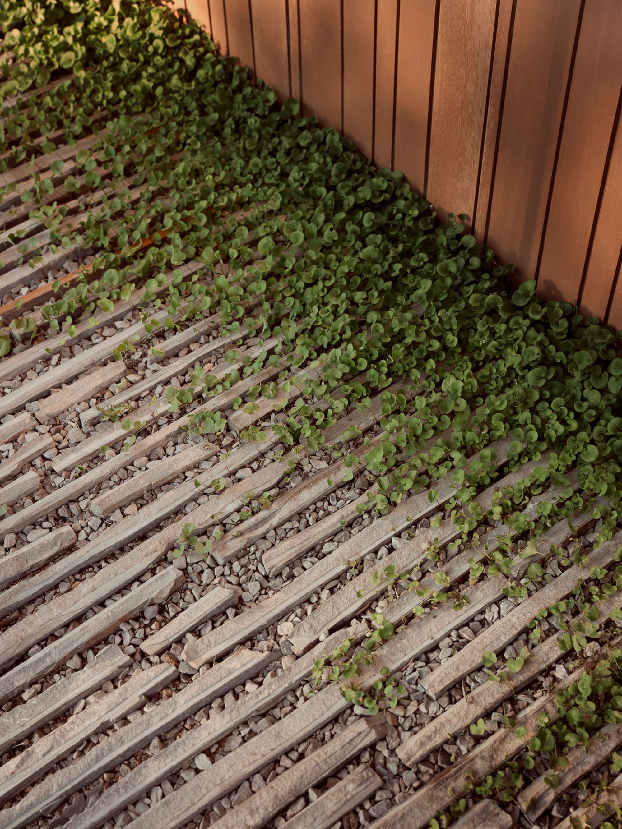 丨美国奥斯汀丨Alterstudio Architecture-58