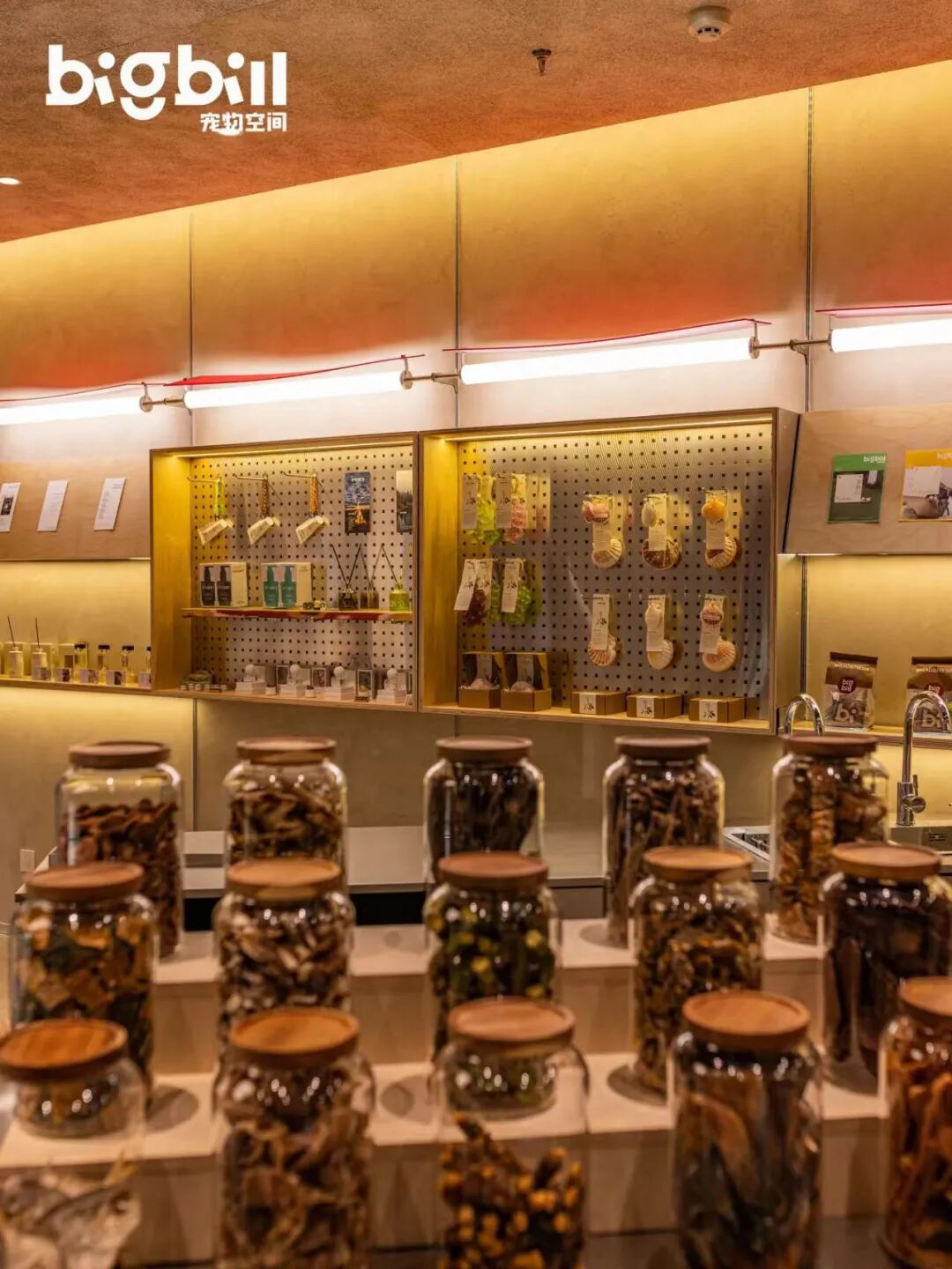 立衡中灯光实景xBIGBILL宠物店-15