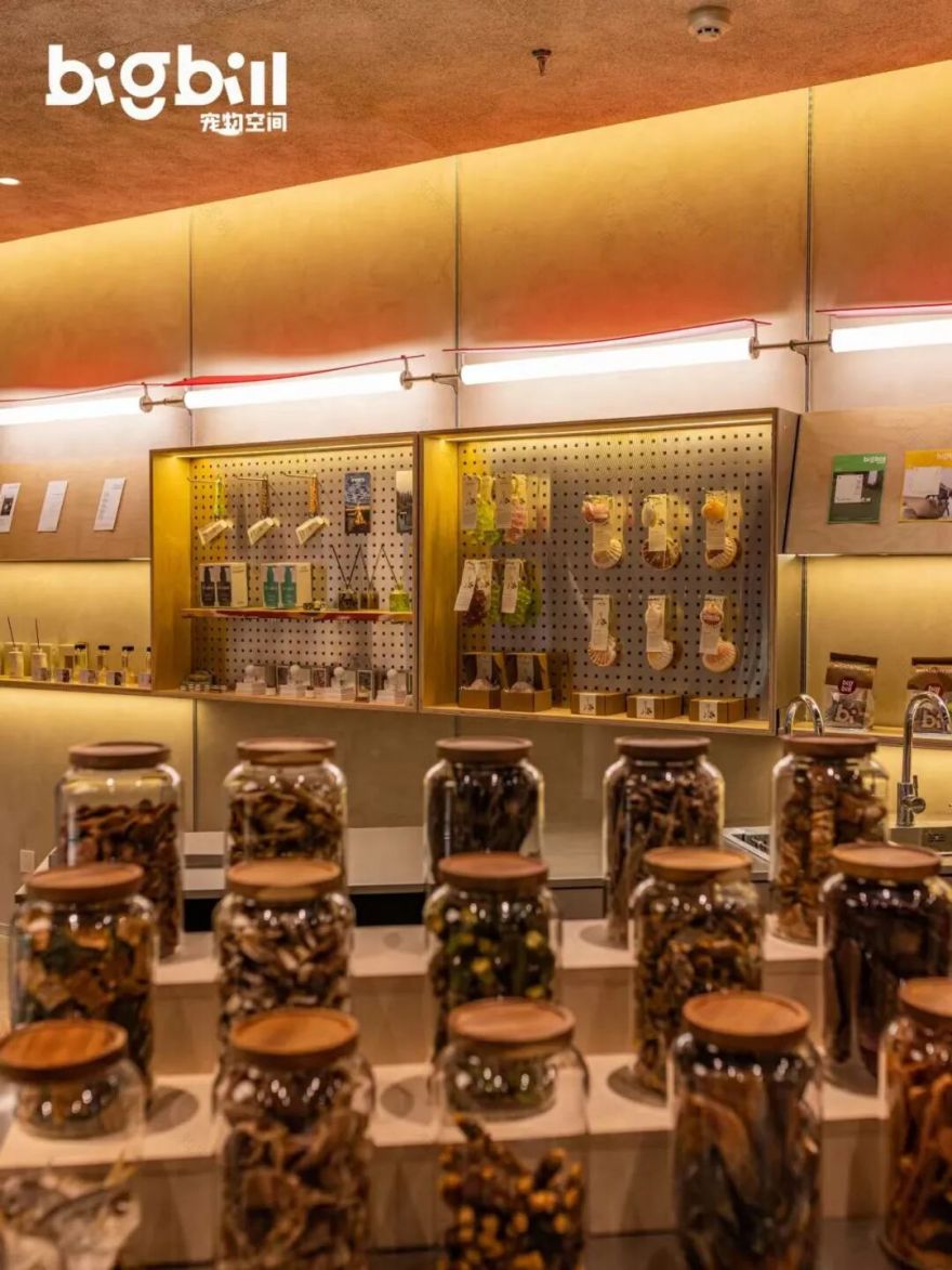 立衡中灯光实景xBIGBILL宠物店-15