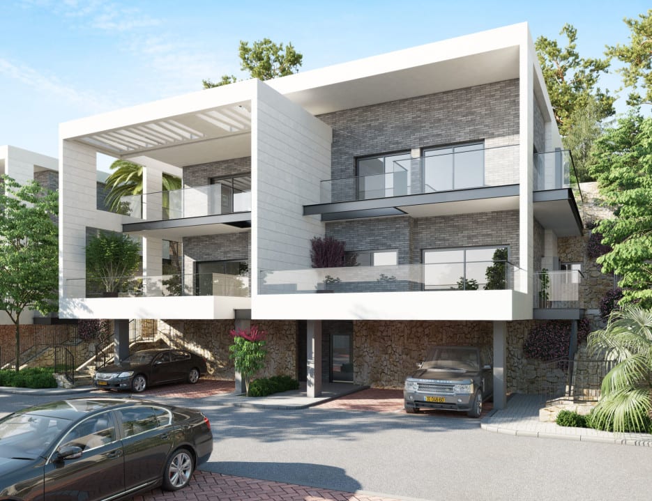 cows - Ando Studio-2