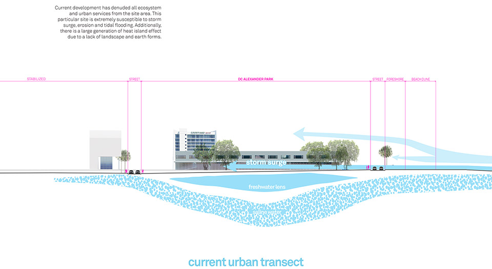 DC Ale·ander公园丨Brooks + Scarpa-45