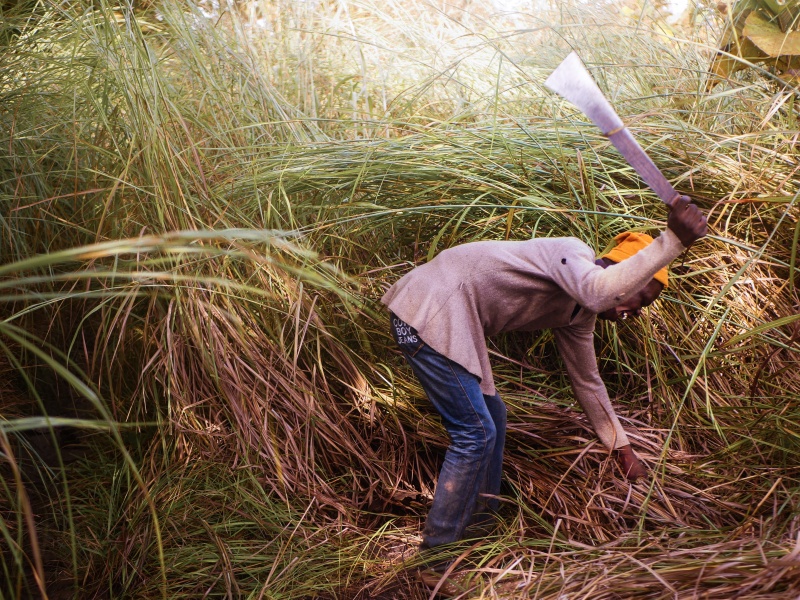 丨贝宁丨L'Harmattan architecture的四位建筑师-105