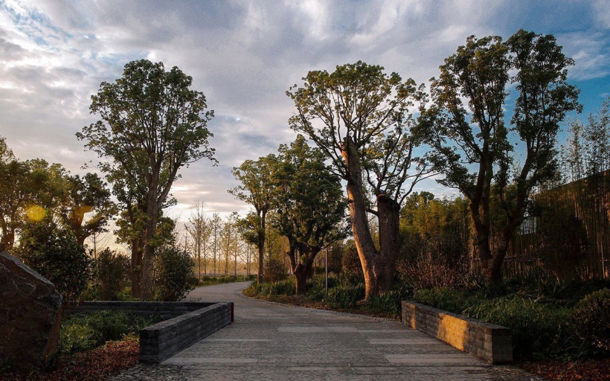 丨中国上海丨未明确提及设计公司名称,景观设计师为Dan Pearson-40