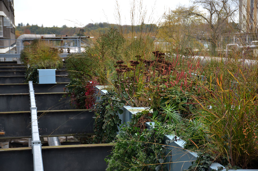 荷兰埃因霍芬 Strijp S 工业遗址改造-18