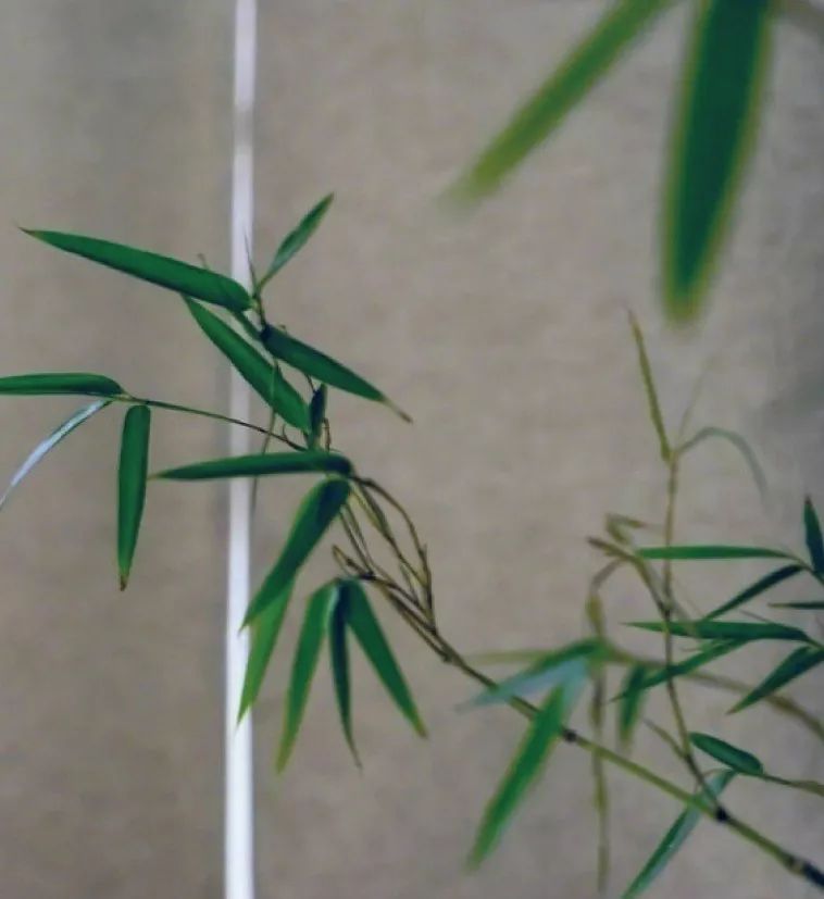 闲暇时光,品读八月的诗与远方-35