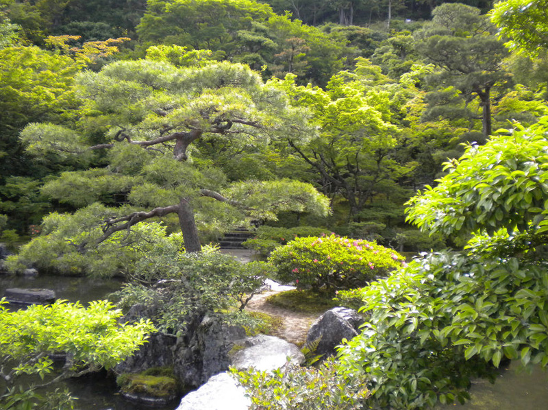 京都金阁寺银阁寺庭院景观及建筑丨日本京都-16