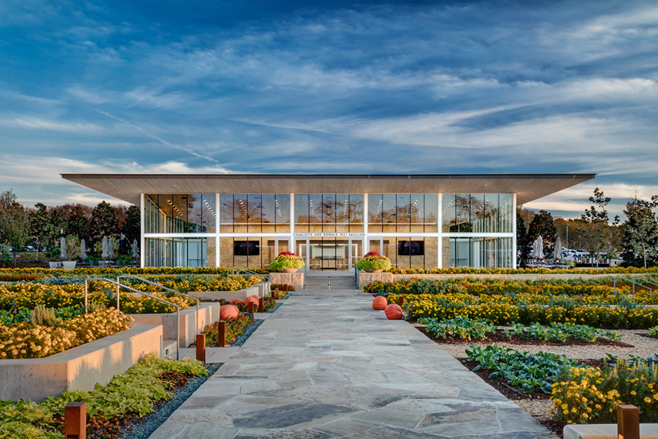 夏洛特与唐纳德试验馆，美国德克萨斯州 / Buchanan Architecture-9