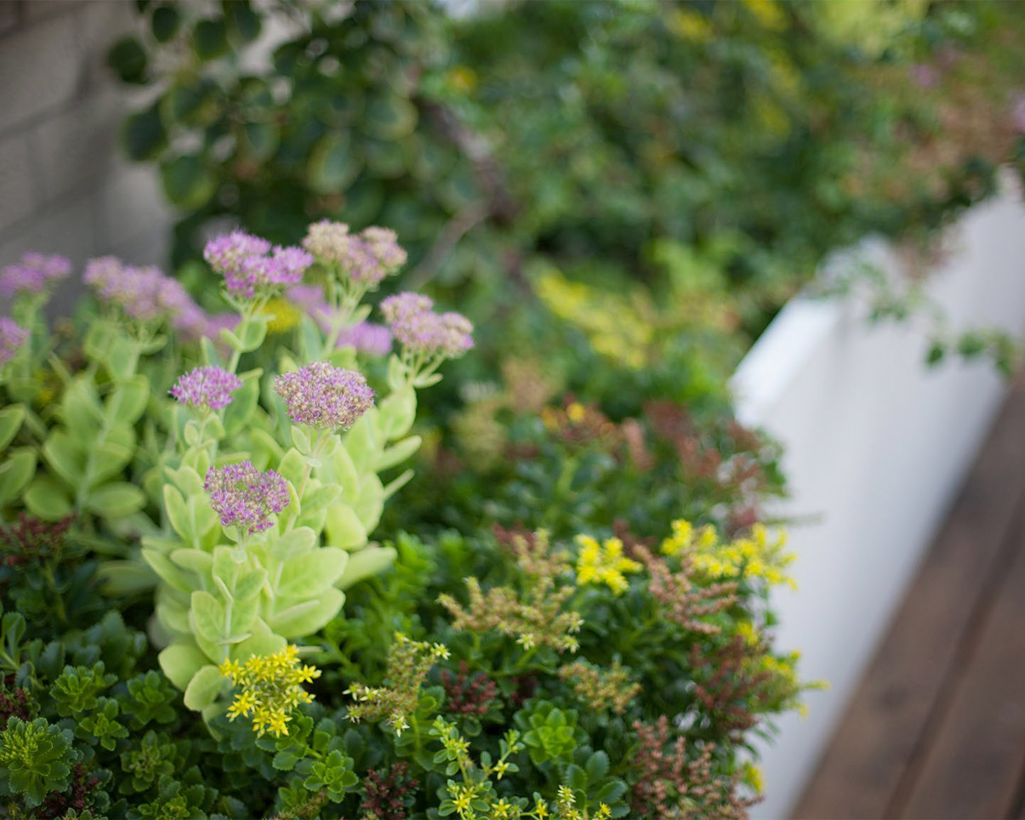 丨美国芝加哥-35