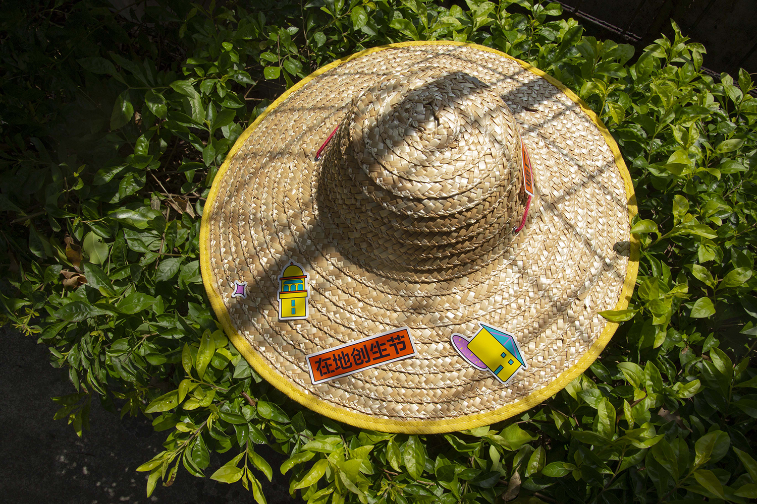 塘口在地创生节丨中国广东-36