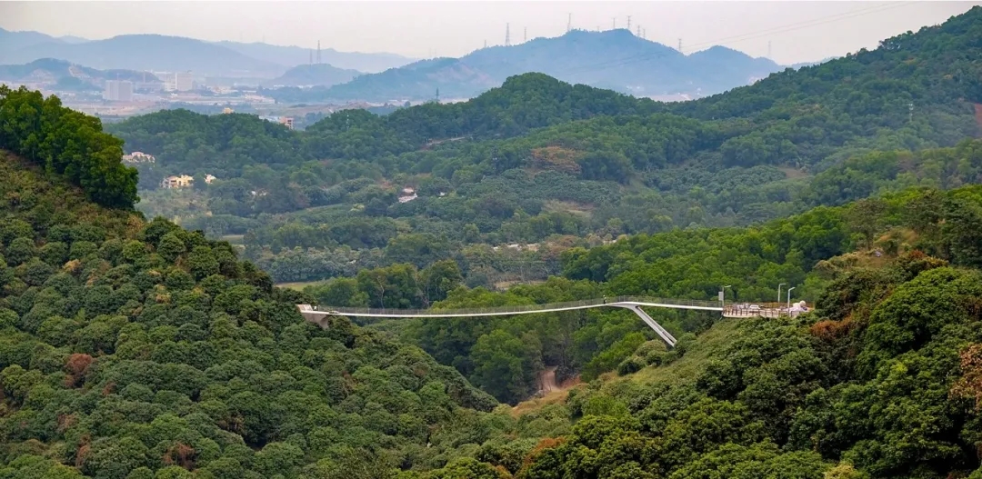 深圳光明小镇三桥与绿道景观-7