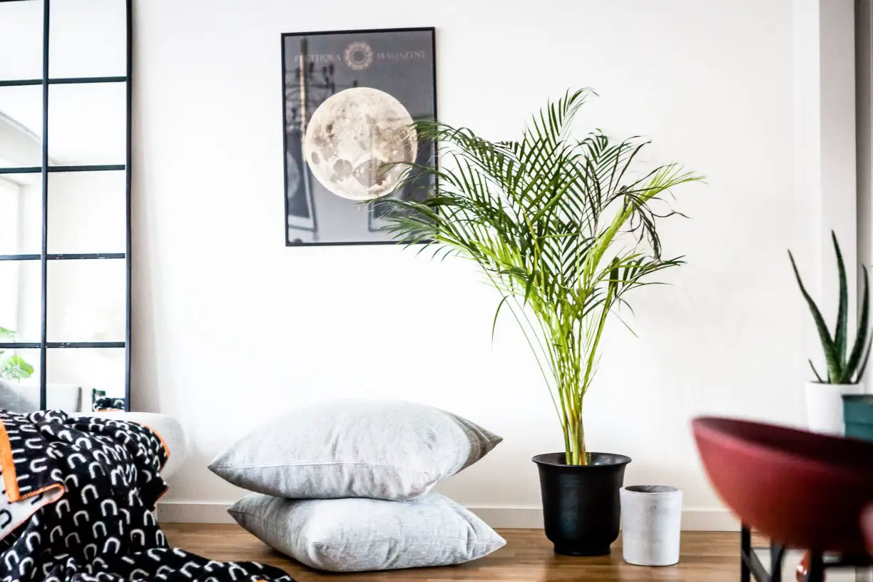 镜子的创意安装 | 藏在沙发后的艺术-7