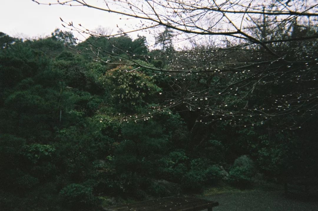 京都禅意漫步 | 私人庭园与古刹的宁静时光-11