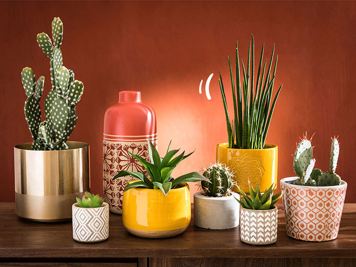 "Maisons du Monde 的明亮夏季新作 | 色彩斑斓的法式魅力"-25