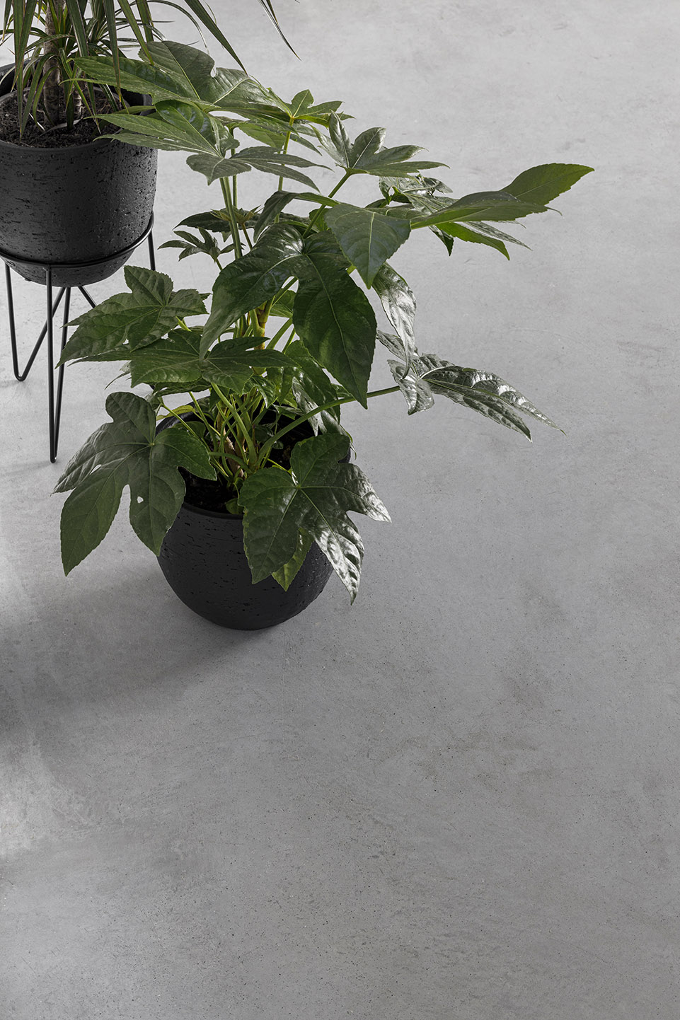 Sta Joana 住宅丨葡萄牙丨NU.MA-107